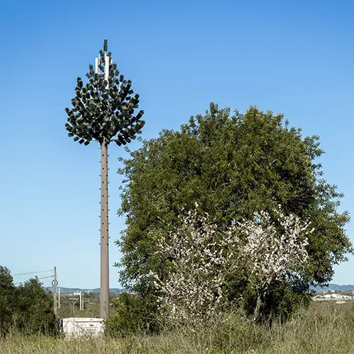 Camouflaged Masts in Chhindwara