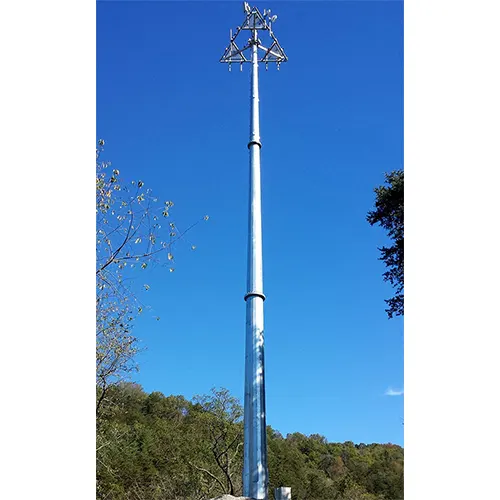 Monopoles in Lepa Rada